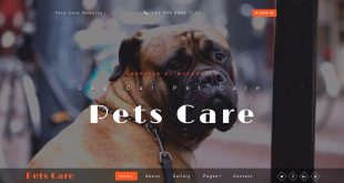 Free Animals Pets Html Website Templates