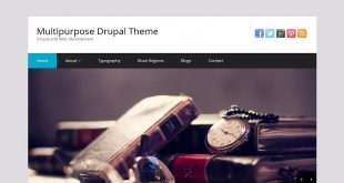 Free Drupal Themes
