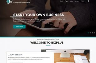 Free Business WordPress Themes