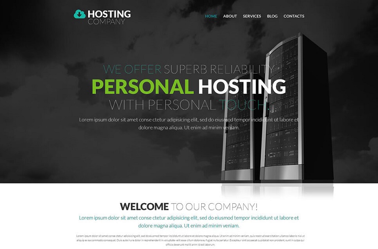 Hosting Company