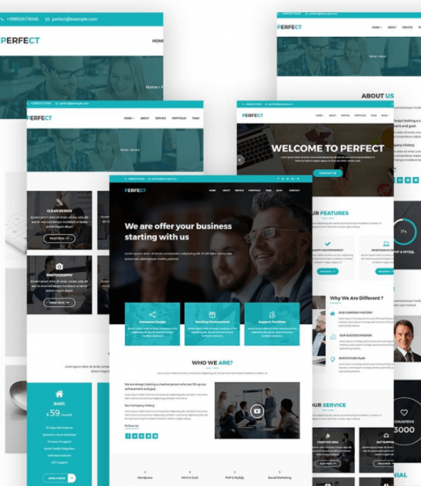 Perfect Popular WordPress Theme