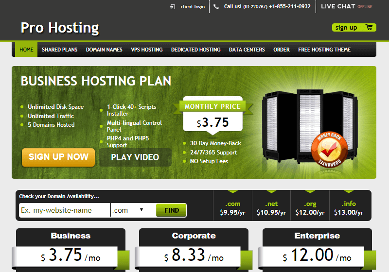 Pro Hosting