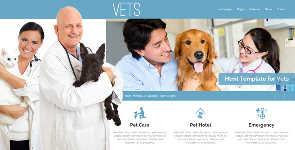 VETS Medical HTML Website Template