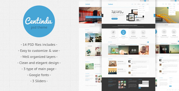 Centindu Portfolio PSD Website Template