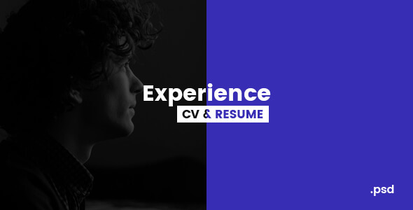 Experience Resume PSD Website Template