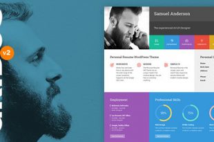 Best Flat Design Wordpress Themes