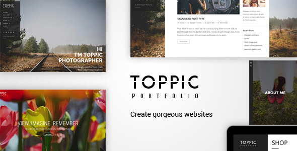 TopPic FullScreen WordPress Theme