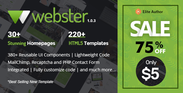 Webster: Multipurpose HTML Website Templates