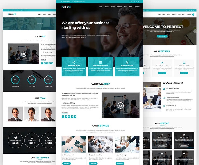 Perfect Clean WordPress Theme