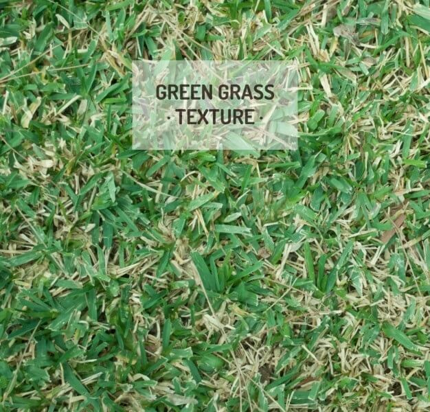 Beautiful Grass textures