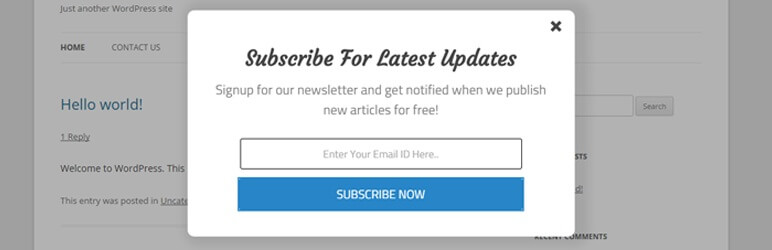 Elegant Subscription Popup