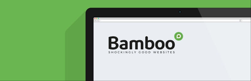 Bamboo Backups