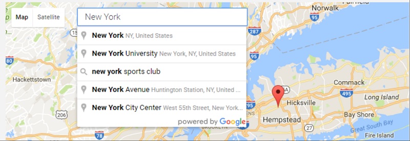 WP Google Map