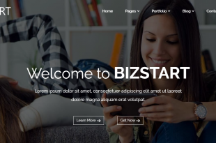 bizstart free wordpress theme
