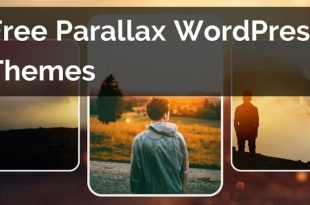 Best Free Parallax WordPress Themes