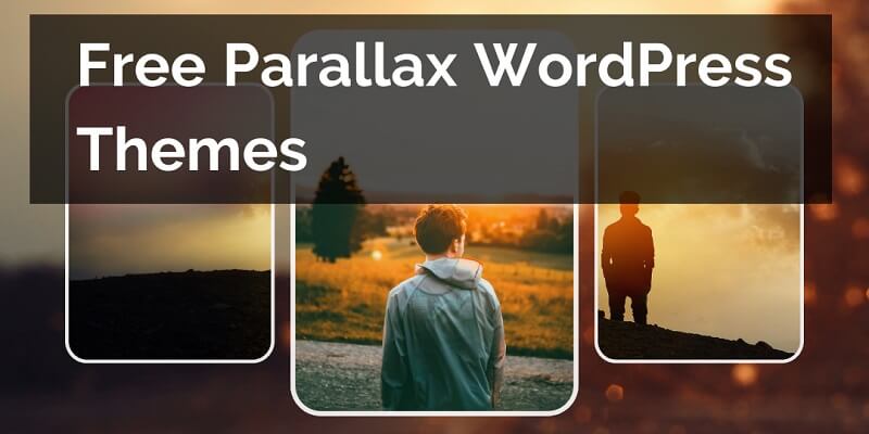 10 Best Free Parallax WordPress Themes In 2024 Best Free Parallax WordPress Themes