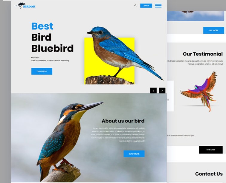 Birdor