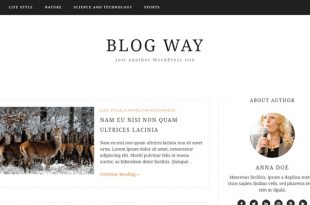Free Blog WordPress Themes