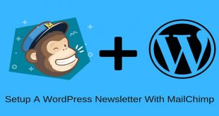 WordPress Newsletter With MailChimp