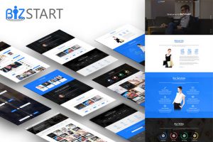 Bizstart Premium WordPress Theme