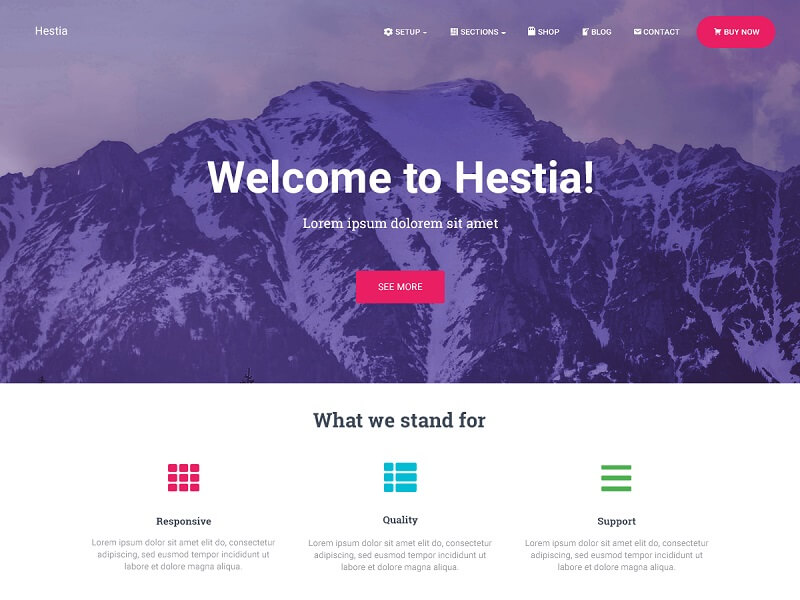 Hestia: Free Business WordPress Themes
