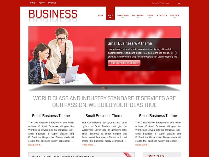Small Business: Free Theme for Website Development Company