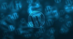 Wordpress Is On The Track