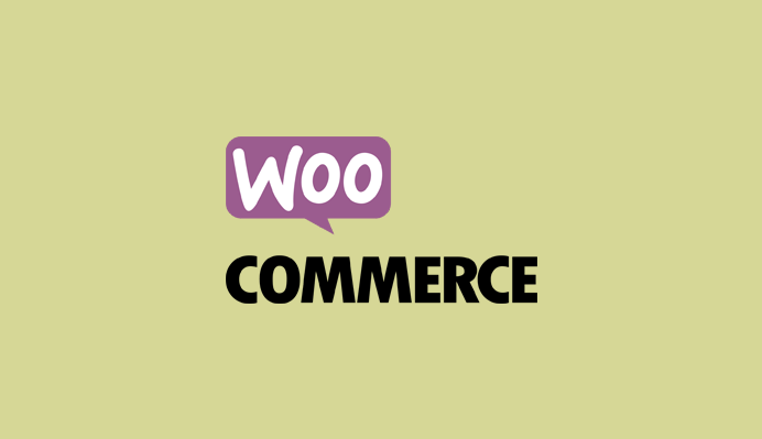 Best WooCommerce Plugins