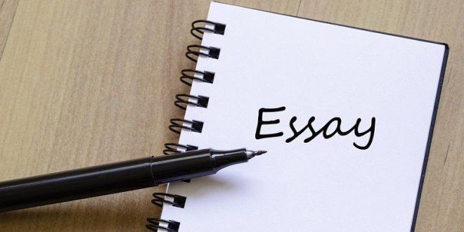 professional college essay writers