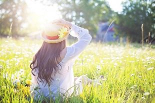 Advantages And Disadvantages Of The Spring Season