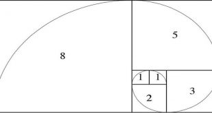 Learn Fibonacci Sequence