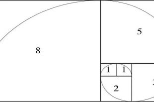 Learn Fibonacci Sequence