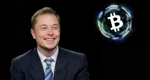 Things Elon Musk Likes About Cryptocurrency