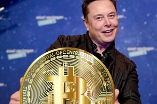 Elon and Cryptocurrency