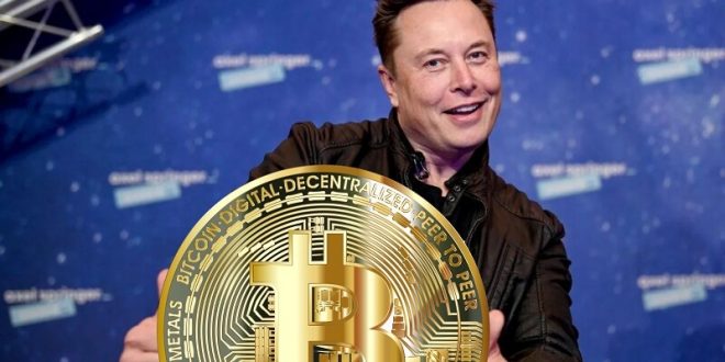 Elon and Cryptocurrency