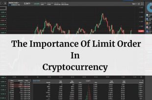 Importance Of Limit Order In Cryptocurrency