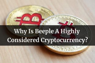 Why Is Beeple A Highly Considered Cryptocurrency
