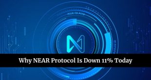 Why NEAR Protocol Is Down 11% Today