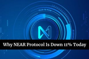 Why NEAR Protocol Is Down 11% Today