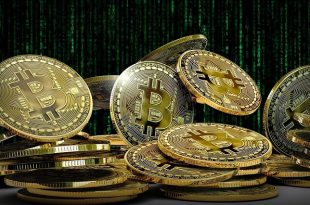 Cryptocurrencies You Should Invest In