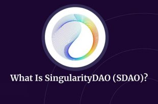 What Is SingularityDAO
