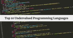 Undervalued Programming Languages