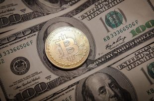Bitcoin Price Determiners