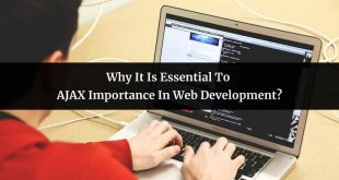 JAX Importance In Web Development