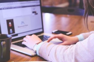 Interactive Elements On The Website