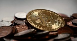 Factors That Affect The Price Settling Of Bitcoin