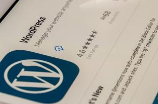 Best Hosting Companies For WordPress