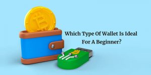 Which Type Of Wallet Is Ideal