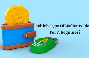 Which Type Of Wallet Is Ideal