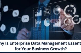 Why Is Enterprise Data Management Essential For Your Business